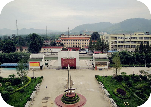 �����h����ЌW 